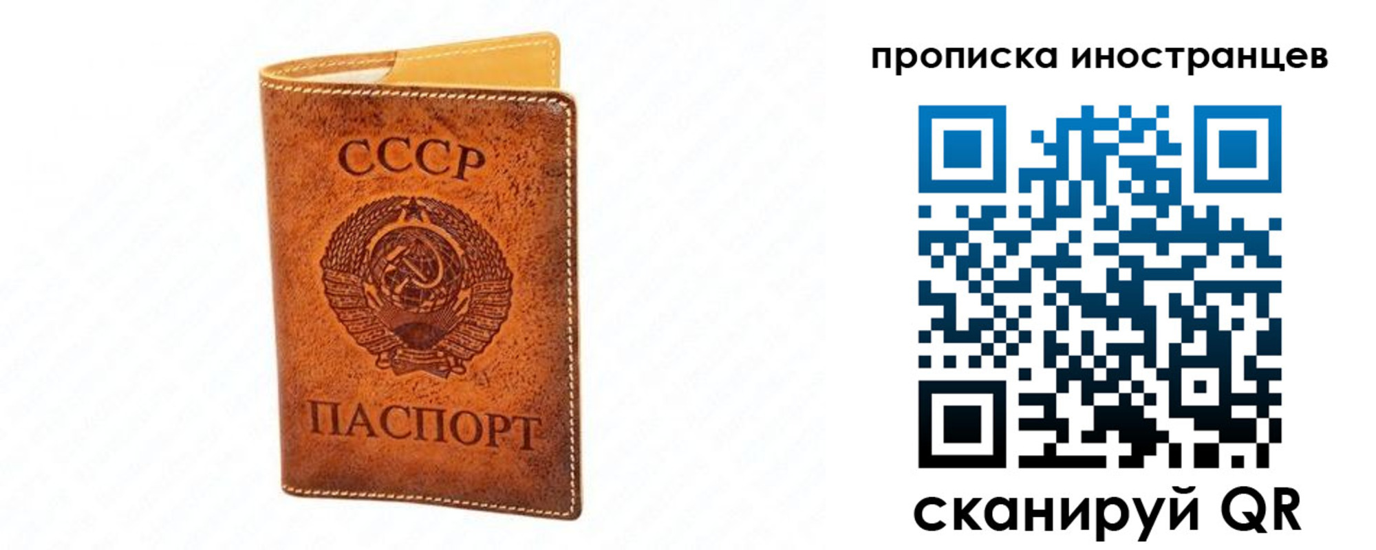прописка для школы в Вилючинске